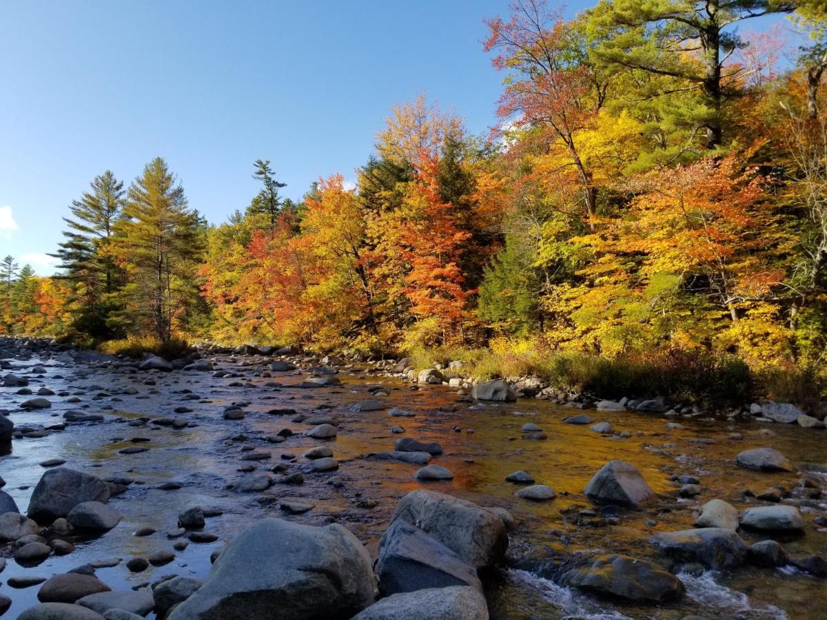 Kancamagus Swift River Inn 奥尔巴尼 外观 照片