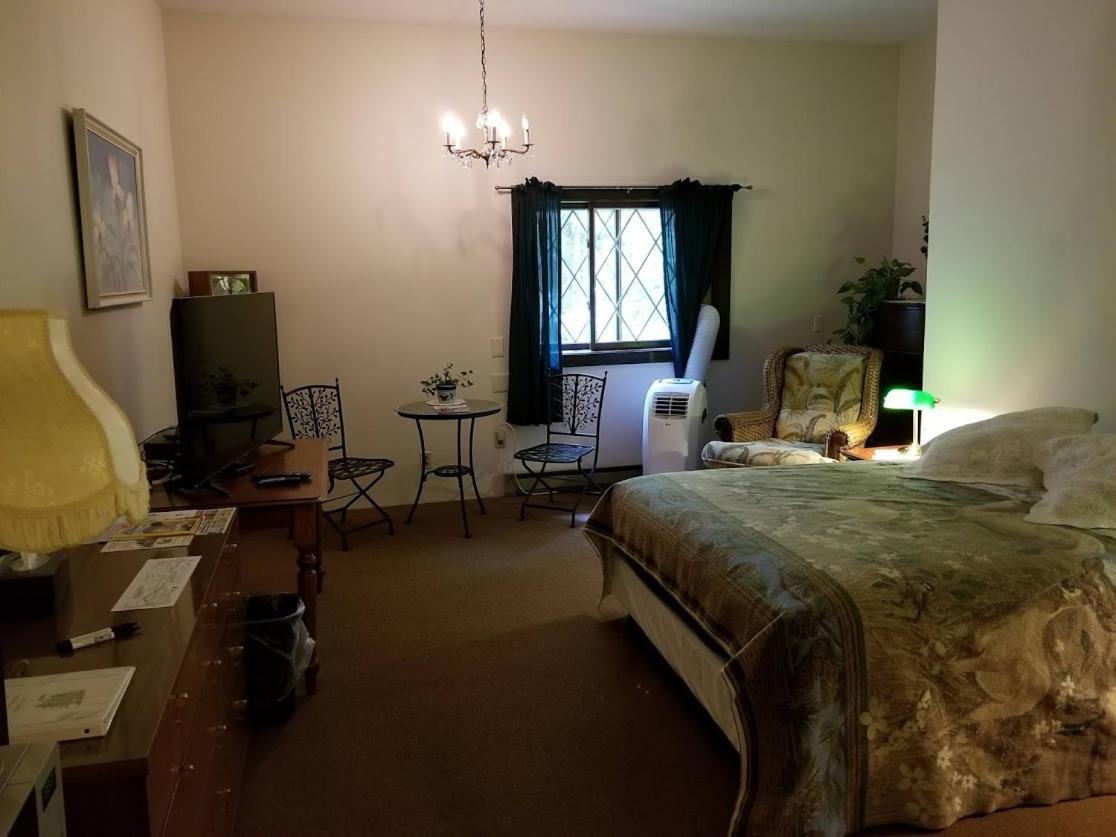 Kancamagus Swift River Inn 奥尔巴尼 外观 照片